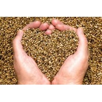 hemp_seeds_heart_hands